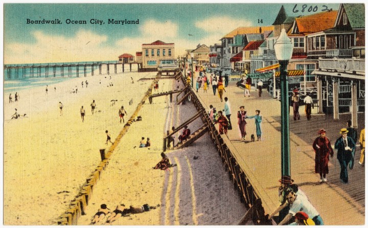 commons.wikimedia.org