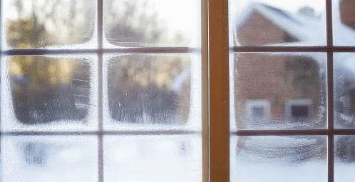 How To Spend Your Snow Day!